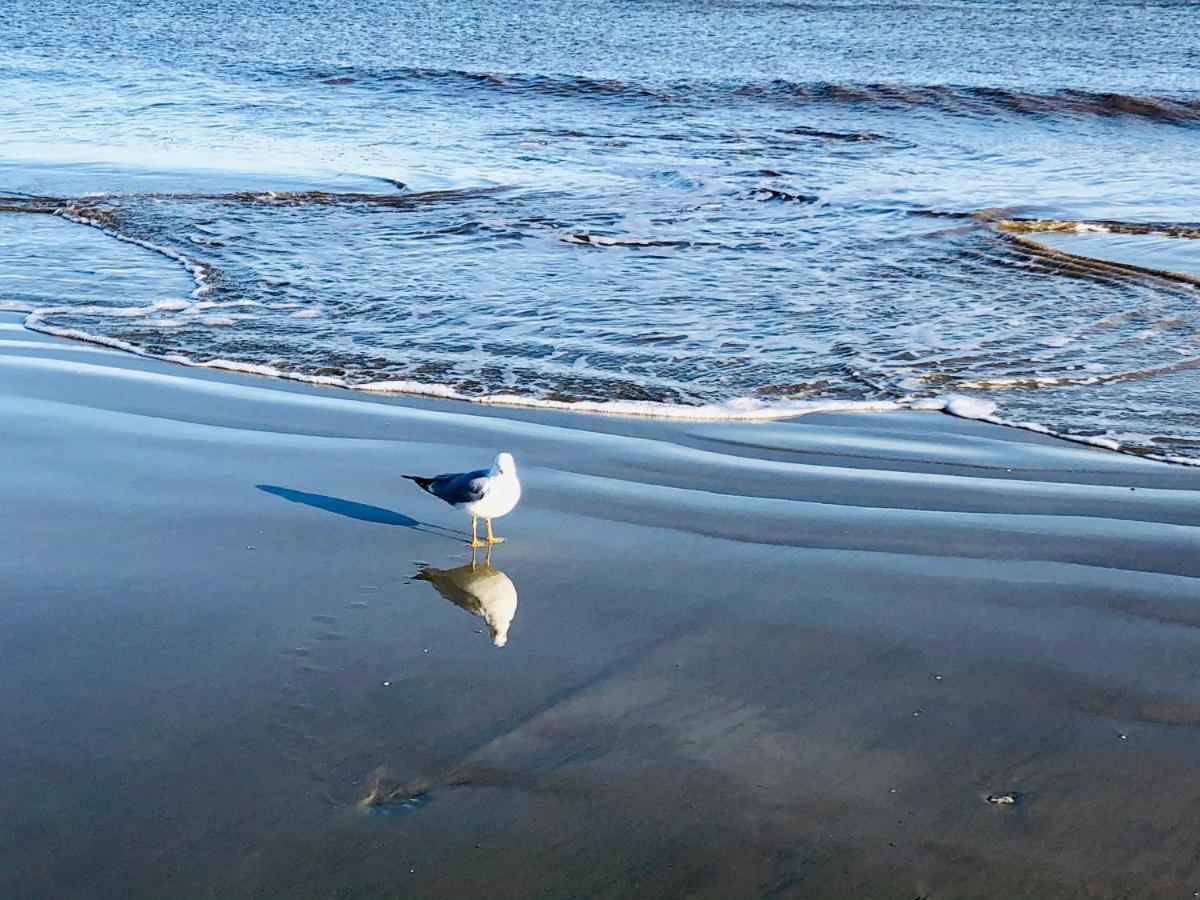 Salty Breeze At Demere Landing Unit 168 - Salt Air Dr Villa St. Simons Island Eksteriør bilde